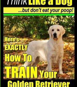 Golden Retriever Training - Results Getting System - Think Like a Dog But Don't Eat Your Poop!: Here's EXACTLY How To TRAIN Your Golden Retriever