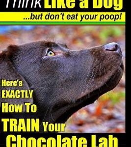 Chocolate Lab, Chocolate Labrador Retriever Training - Think Like a Dog But Don't Eat Your Poop!: Here's Exactly How to Train Your Chocolate Lab