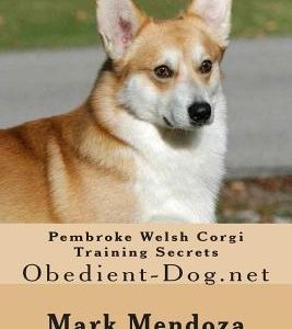 Pembroke Welsh Corgi Training Secrets: Obedient-Dog.net