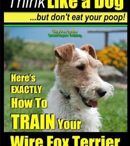 Wire Fox Terrier, Wire Fox Terrier Training, AAA AKC - Think Like a Dog But Don't Eat Your Poop! - Wire Fox Terrier Breed Expert Training -: Here's EX