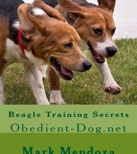 Beagle Training Secrets: Obedient-Dog.net
