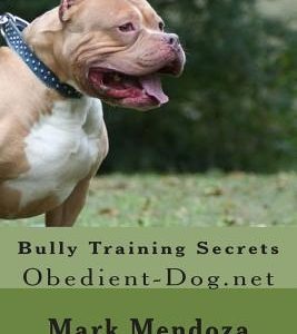 Bully Training Secrets: Obedient-Dog.net