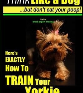 Yorkie, Yorkie Dog, Yorkie Training - Think Like a Dog, But Don't Eat Your Poop! - Yorkie Breed Expert Training -: Here's EXACTLY How To TRAIN Your YO