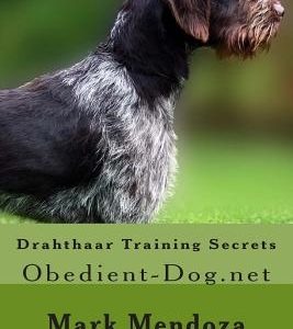 Drahthaar Training Secrets: Obedient-Dog.net