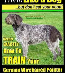 German Wirehaired Pointer, German Wirehaired Pointer, Training - Think Like a Dog But Don't Eat Your Poop!- German Wirehaired Pointer Breed Expert Tra