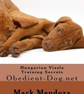 Hungarian Vizsla Training Secrets: Obedient-Dog.net