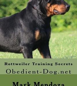 Rottweiler Training Secrets: Obedient-Dog.net