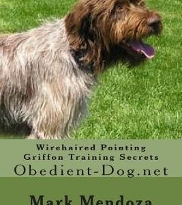 Wirehaired Pointing Griffon Training Secrets: Obedient-Dog.net