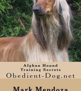 Afghan Hound Training Secrets: Obedient-Dog.net