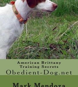American Brittany Training Secrets: Obedient-Dog.net