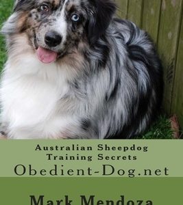 Australian Sheepdog Training Secrets: Obedient-Dog.net