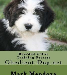 Bearded Collie Training Secrets: Obedient-Dog.net