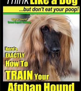 Afghan Hound, Afghan Hound Training - Think Like a Dog But Don't Eat Your Poop! - Afghan Hound Breed Expert Training: Here's EXACTLY How To TRAIN Your