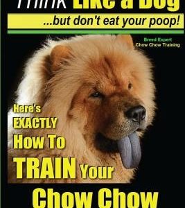Chow Chow, Chow Chow Training Think Like a Dog But Don't Eat Your Poop! Breed Expert Chow Chow Training: Here's Exactly How to Train Your Chow Chow