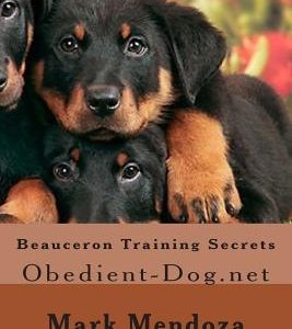 Beauceron Training Secrets: Obedient-Dog.net