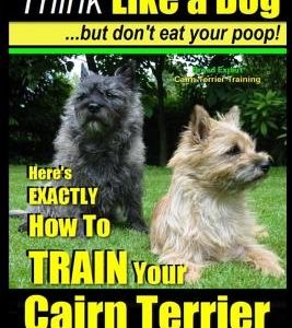 Cairn Terrier, Cairn Terrier Training - Think Like a Dog But Don't Eat Your Poop! - Breed Expert Cairn Terrier Training -: Here's Exactly How to Train