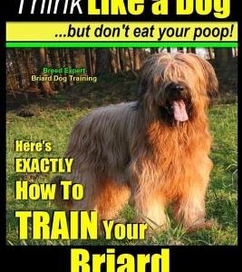 Briard, Briard Dog Training - Think Like a Dog But Don't Eat Your Poop! - Breed Expert Briard Dog Training -: Here's Exactly How to Train Your Briard