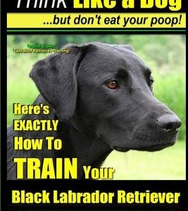 Black Labs, Black Labrador Retriever Training - Think Like a Dog But Don't Eat Your Poop! - Breed Expert Black Labrador Retriever Training -: Here's E