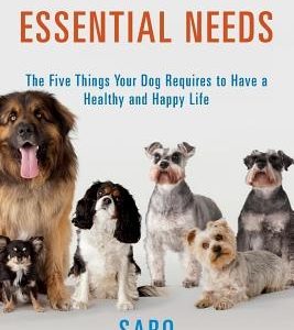 A Dog's Five Essential Needs: The Five Things Your Dog Requires to Have a Healthy and Happy Life