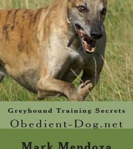Greyhound Training Secrets: Obedient-Dog.net