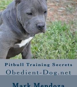Pitbull Training Secrets: Obedient-Dog.net