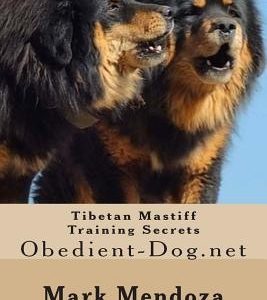Tibetan Mastiff Training Secrets: Obedient-Dog.net