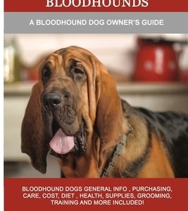 Bloodhounds: A Bloodhound Dog Owner's Guide