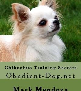 Chihuahua Training Secrets: Obedient-Dog.net