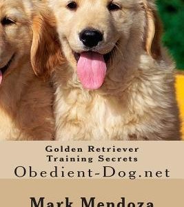 Golden Retriever Training Secrets: Obedient-Dog.net