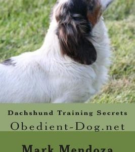Dachshund Training Secrets: Obedient-Dog.net