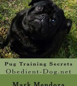 Pug Training Secrets: Obedient-Dog.net