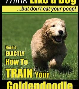 Goldendoodle, Goldendoodle Training - Think Like a Dog But Don't Eat Your Poop!: Here's EXACTLY How To TRAIN Your Goldendoodle