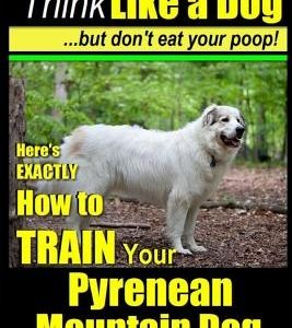Pyrenean Mountain Dog, Pyrenees Mountain Dog Training - Think Like a Dog But Don't Eat Your Poop!: Here's EXACTLY How to Train Your Pyrenean Mountain