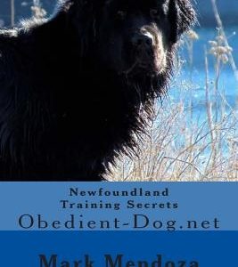 Newfoundland Training Secrets: Obedient-Dog.net