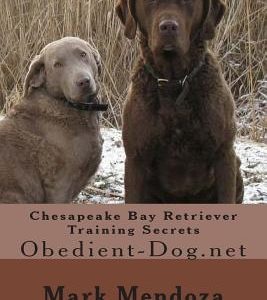 Chesapeake Bay Retriever Training Secrets: Obedient-Dog.net