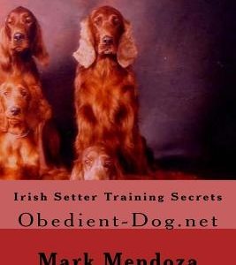Irish Setter Training Secrets: Obedient-Dog.net