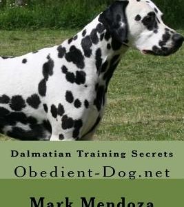 Dalmatian Training Secrets: Obedient-Dog.net