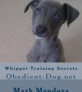 Whippet Training Secrets: Obedient-Dog.net