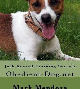 Jack Russell Training Secrets: Obedient-Dog.net