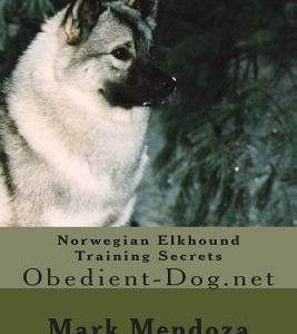 Norwegian Elkhound Training Secrets