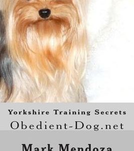 Yorkshire Training Secrets: Obedient-Dog.net