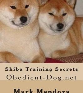 Shiba Training Secrets: Obedient-Dog.net
