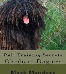 Puli Training Secrets: Obedient-Dog.net