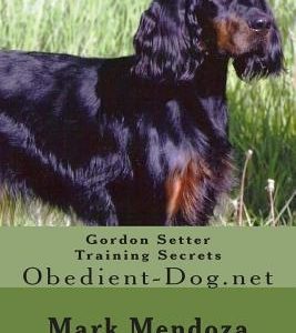 Gordon Setter Training Secrets: Obedient-Dog.net