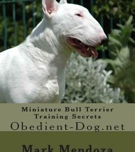Miniature Bull Terrier Training Secrets: Obedient-Dog.net