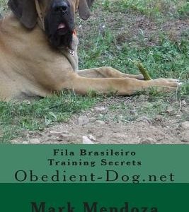 Fila Brasileiro Training Secrets: Obedient-Dog.net