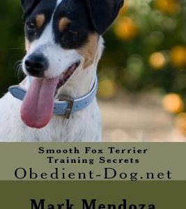 Smooth Fox Terrier Training Secrets: Obedient-Dog.net