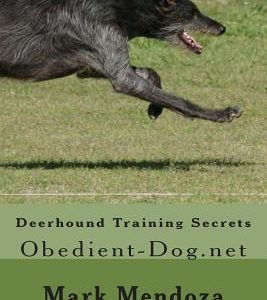 Deerhound Training Secrets: Obedient-Dog.net