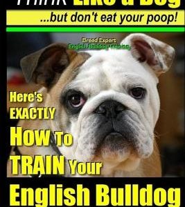 English Bulldog, English Bulldog Training - Think Like a Dog But Don't Eat Your Poop! - Breed Expert English Bulldog Training -: Here's EXACTLY How To