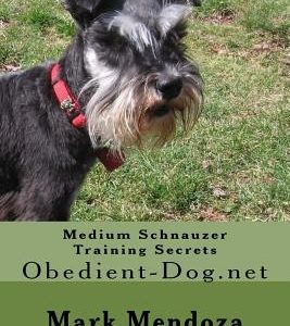 Medium Schnauzer Training Secrets: Obedient-Dog.net